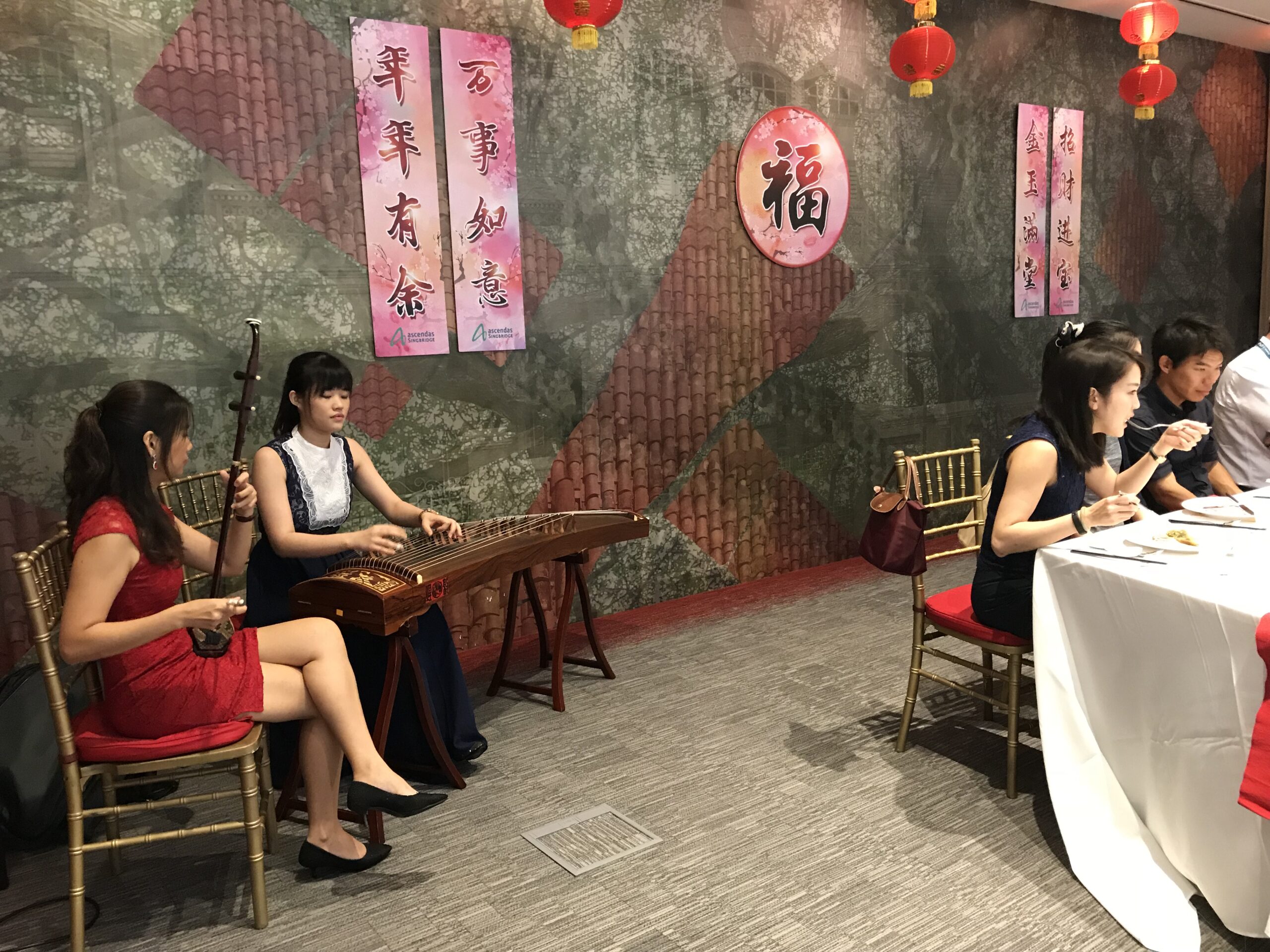 Erhu Guzheng Duet Music Ensemble 